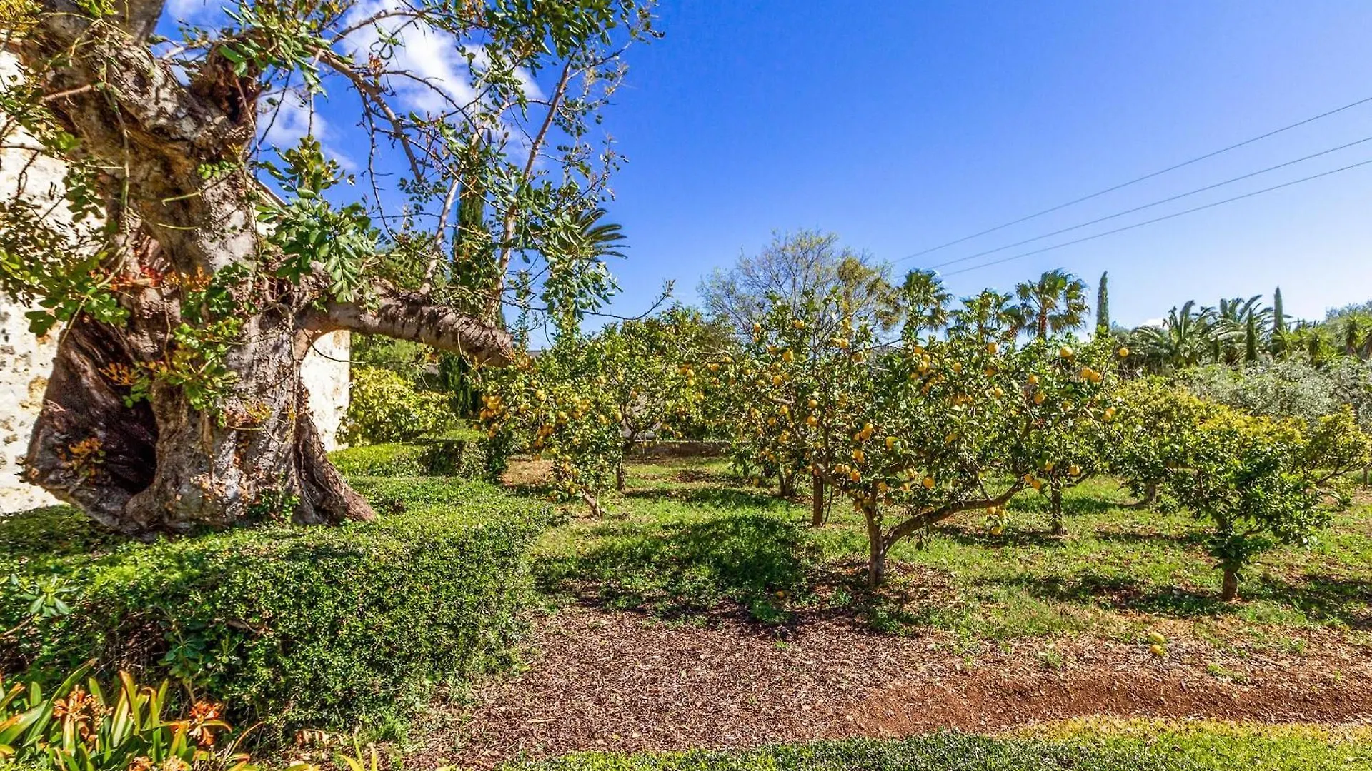 Traditional Pollensa Villa 3 Bedrooms Villa Rellafonta Mountain Views Short Drive To Town Beach 0*, Pollenca